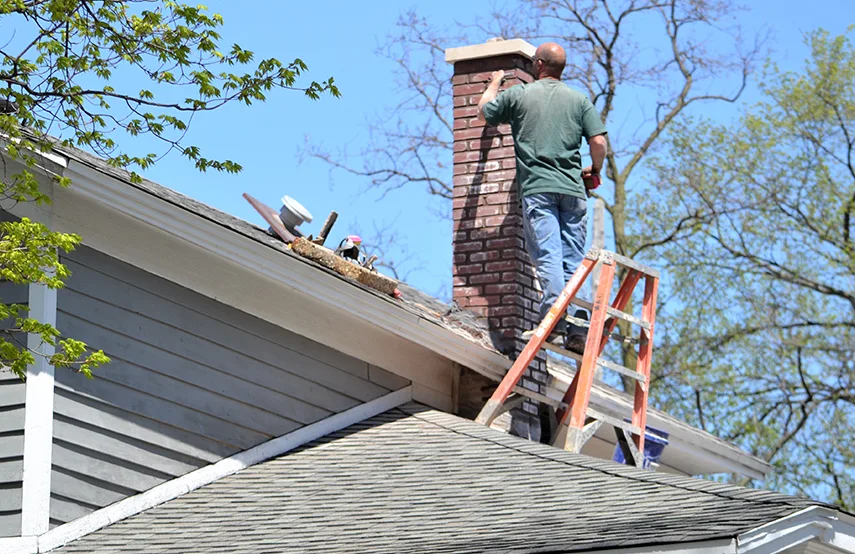 Chimney & Fireplace Inspections Services in Downers Grove, IL
